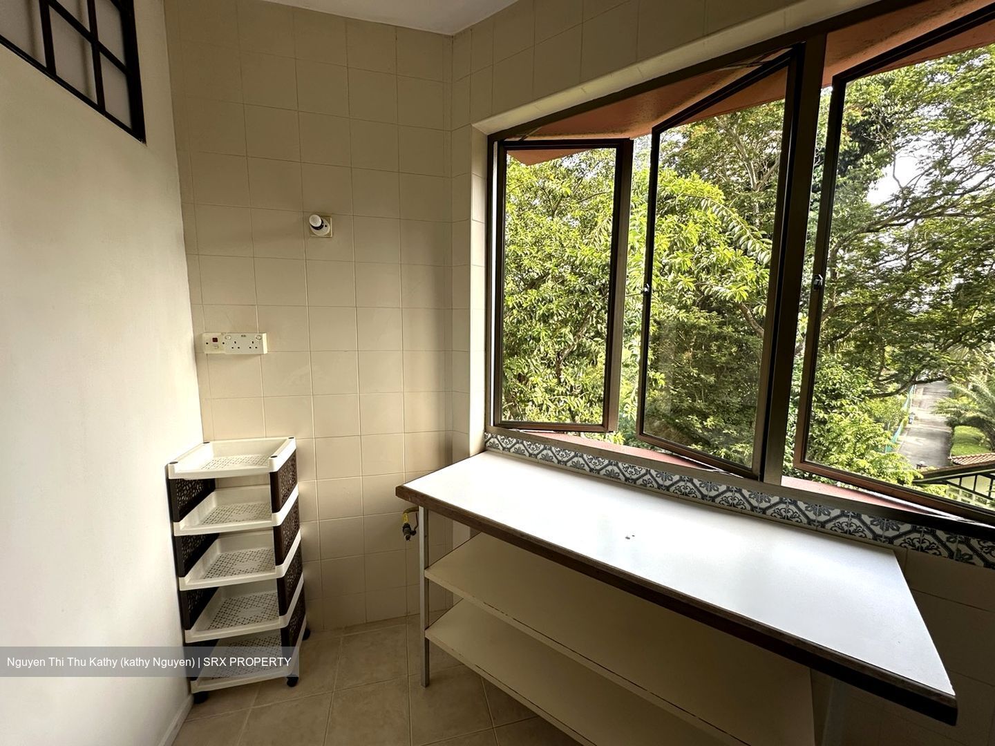 Balmoral Luck (D10), Condominium #599279811